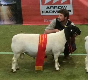 Kalahari Reserve Champion 2016